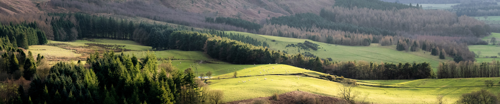 Turn your walk into an adventure with the Coast to Coast Passport